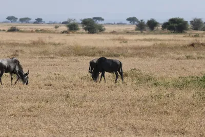 DSC_3403 (Large).JPG